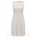 Solid Color Sleeveless Women Lace Chiffon Dresses